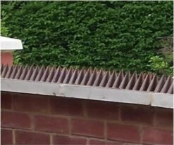 Kinzo Anti-klimstrips 50 X 4,5 X 1,7 Cm Bruin 10 Stuks 21 Kinzo Anti-klimstrips 50 X 4,5 X 1,7 Cm Bruin 10 Stuks -Makita || Merkloos || Stanley Verkoopwinkel 1200x1008 9