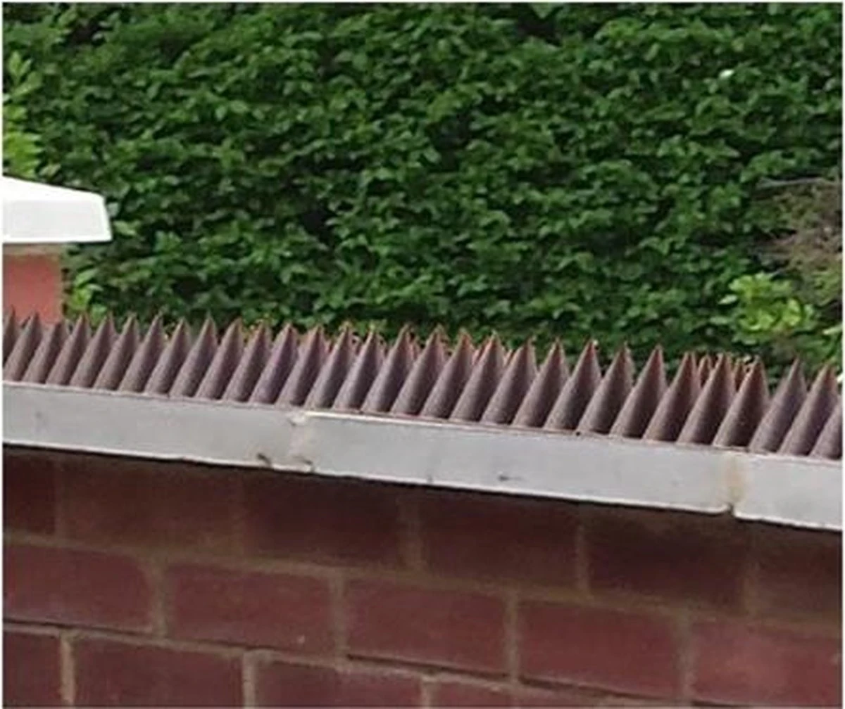 Kinzo Anti-klimstrips 50 X 4,5 X 1,7 Cm Bruin 10 Stuks 5 Kinzo Anti-klimstrips 50 X 4,5 X 1,7 Cm Bruin 10 Stuks - Afbeelding 5