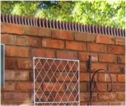 Kinzo Anti-klimstrips 50 X 4,5 X 1,7 Cm Bruin 10 Stuks 23 Kinzo Anti-klimstrips 50 X 4,5 X 1,7 Cm Bruin 10 Stuks -Makita || Merkloos || Stanley Verkoopwinkel 1200x1011 7