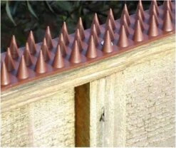 Kinzo Anti-klimstrips 50 X 4,5 X 1,7 Cm Bruin 10 Stuks 25 Kinzo Anti-klimstrips 50 X 4,5 X 1,7 Cm Bruin 10 Stuks -Makita || Merkloos || Stanley Verkoopwinkel 1200x1011 8