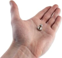 Brute Strength - Super Sterke Magnetische Ophanghaakjes - Haakjes | Pionnen - 20 Stuks - Neodymium Magneet Sterk -Makita || Merkloos || Stanley Verkoopwinkel 1200x1117 2