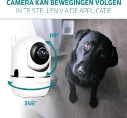 Beveiligingscamera - Huisdiercamera - WiFi - Beweeg En Geluidsdetectie - Werkt Met App - Zwart 18 Beveiligingscamera - Huisdiercamera - WiFi - Beweeg En Geluidsdetectie - Werkt Met App - Zwart -Makita || Merkloos || Stanley Verkoopwinkel 1200x1124 15