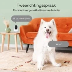 Calex Indoor Pan & Tilt Camera - Wifi Beveiligingscamera Voor Binnen - 2K -Makita || Merkloos || Stanley Verkoopwinkel 1200x1200 2290