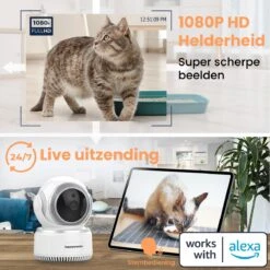 Happysnoots IP Camera 1080p - Huisdiercamera - Wifi Beveiligingscamera - Nachtzicht - Hondencamera 11 Happysnoots IP Camera 1080p - Huisdiercamera - Wifi Beveiligingscamera - Nachtzicht - Hondencamera -Makita || Merkloos || Stanley Verkoopwinkel 1200x1200 2404