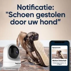 Happysnoots 1080P Huisdiercamera Met App - 360° Honden Camera - Hondencamera - Huisdier / Pet Cam - Voor Hond / Dog / Kat / Huisdieren -Makita || Merkloos || Stanley Verkoopwinkel 1200x1200 2432