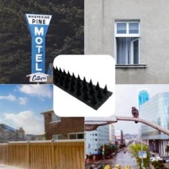 Merkloos TOPEQ Zwarte Anti-klimstrip - Anti Inbraak - Tegen Katten , Vogels - 10 Stuks 50cm ( 5meter ) - Overklimbeveiliging - Katten Verjagen - Prikka Strip - Hekpunten - Vogelpinnen 7 Merkloos TOPEQ Zwarte Anti-klimstrip - Anti Inbraak - Tegen Katten , Vogels - 10 Stuks 50cm ( 5meter ) - Overklimbeveiliging - Katten Verjagen - Prikka Strip - Hekpunten - Vogelpinnen -Makita || Merkloos || Stanley Verkoopwinkel 1200x1200 2557