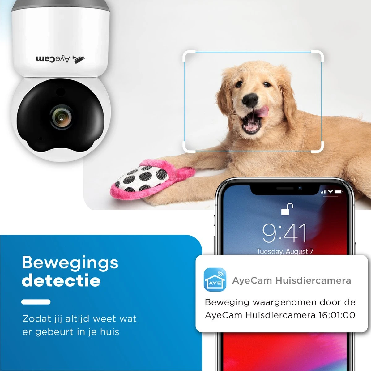 AyeCam Huisdiercamera - Met App - Incl. 32GB SD - WiFi - Beweeg & Geluidsdetectie - Beveiligingscamera - Hondencamera 8 AyeCam Huisdiercamera - Met App - Incl. 32GB SD - WiFi - Beweeg & Geluidsdetectie - Beveiligingscamera - Hondencamera - Afbeelding 8