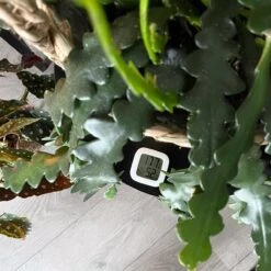 Temperatuur- En Luchtvochtigheidsmeter - Inclusief Batterij, Houder én Sticker - Digitale Hygrometer, Thermometer, Temperatuurmeter Voor Binnen, Digitaal Weerstation - Luchtvochtigheid Voor Planten Digitaal Meten -Makita || Merkloos || Stanley Verkoopwinkel 1200x1200 662