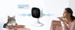 TP-Link Tapo C100 - Beveiligingscamera Voor Binnen - Babyfoon - Home Security Wi-Fi - Wit -Makita || Merkloos || Stanley Verkoopwinkel 1200x485 3