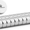 Brute Strength - Super Sterke Magneten - Rond - 10 X 5 Mm - 20 Stuks - Geschikt Voor Radiatorfolie - Neodymium Magneet Sterk - Voor Koelkast - Whiteboard