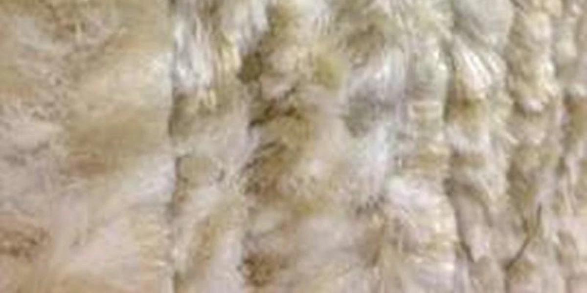 Lesli - Kattenstaart Vliegengordijn - Beige Gemeleerd 4 Lesli - Kattenstaart Vliegengordijn - Beige Gemeleerd - Afbeelding 4