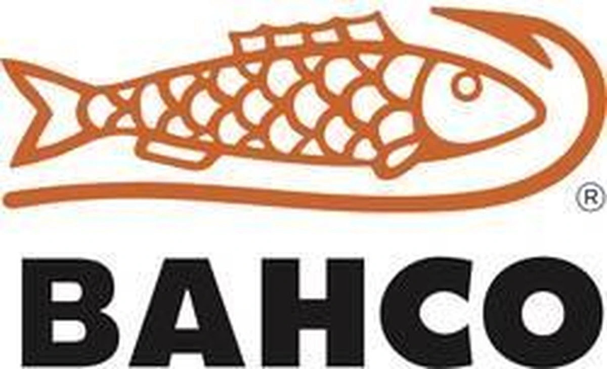 Bahco Steekbeitelset - 6-delig - Houtbeitel - Incl. Opbergkist 11 Bahco Steekbeitelset - 6-delig - Houtbeitel - Incl. Opbergkist - Afbeelding 11