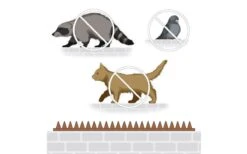 Merkloos Anti Klim Strips - Anti Overklimstrips - Duivenafweer -Klimstrips - Anti Dieven - Anti Vogels - Tegen Dieven - Tegen Vogels - Tegen Katten - Tegen Inbraken - Tegen Overklimmen -Anti Climb Spike Strip - Antiklimstrips-10 Stuks Van 50 Cm-Totaal 5 Meter -Makita || Merkloos || Stanley Verkoopwinkel 1200x746 11