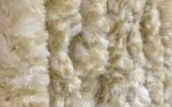 Lesli - Kattenstaart Vliegengordijn - Beige Gemeleerd 10 Lesli - Kattenstaart Vliegengordijn - Beige Gemeleerd -Makita || Merkloos || Stanley Verkoopwinkel 1200x750 16