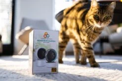 Huisdierenkoning - Hoogkwaliteit Huisdiercamera - Hondencamera - 1080p - WiFi 2.4G- Beweeg En Geluidsdetectie - Werkt Met App - Beveiligingscamera- Huisdier Camera - Huisdierencamera -Makita || Merkloos || Stanley Verkoopwinkel 1200x800 488