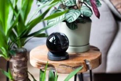 Imou Rex 4MP - IP-camera - Camera Beveiliging - Babyfoon - QHD (1440P) - Privacy Stand -Makita || Merkloos || Stanley Verkoopwinkel 1200x800 526