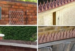 Merkloos Anti Klim Strips - Anti Overklimstrips - Duivenafweer -Klimstrips - Anti Dieven - Anti Vogels - Tegen Dieven - Tegen Vogels - Tegen Katten - Tegen Inbraken - Tegen Overklimmen -Anti Climb Spike Strip - Antiklimstrips-10 Stuks Van 50 Cm-Totaal 5 Meter -Makita || Merkloos || Stanley Verkoopwinkel 1200x811 13