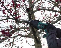 VONROC Accu Reciprozaag – VPower 20V – Incl. 2x 2.0Ah Accu, Sneloplader, Zaagbladen & Opbergtas 11 VONROC Accu Reciprozaag – VPower 20V – Incl. 2x 2.0Ah Accu, Sneloplader, Zaagbladen & Opbergtas -Makita || Merkloos || Stanley Verkoopwinkel 1200x943 4