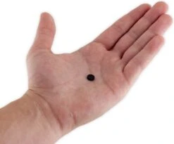 Brute Strength - Super Sterke Magneten - Rond - 8 X 2 Mm - 20 Stuks | Zwart - Neodymium Magneet Sterk - Voor Koelkast - Whiteboard -Makita || Merkloos || Stanley Verkoopwinkel 1200x994 4