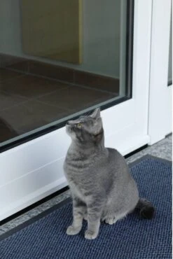 PENTATECH Alarmmat Indexa Zwart 95 DB 33620 10 PENTATECH Alarmmat Indexa Zwart 95 DB 33620 -Makita || Merkloos || Stanley Verkoopwinkel 801x1200 19