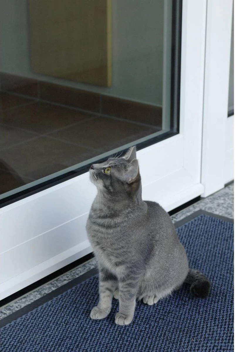 PENTATECH Alarmmat Indexa Zwart 95 DB 33620 5 PENTATECH Alarmmat Indexa Zwart 95 DB 33620 - Afbeelding 5